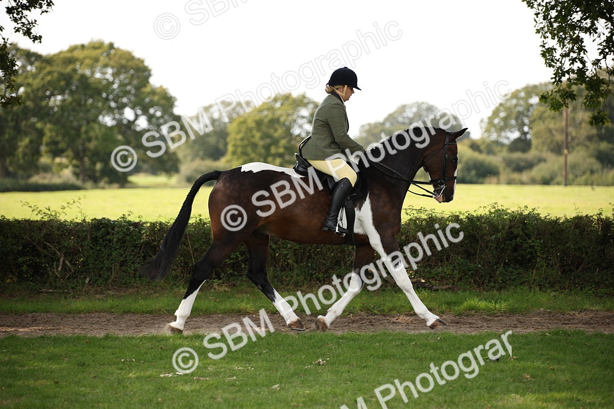 SBM_70073 - S65 - Piebald & Skewbald Horse Ridden