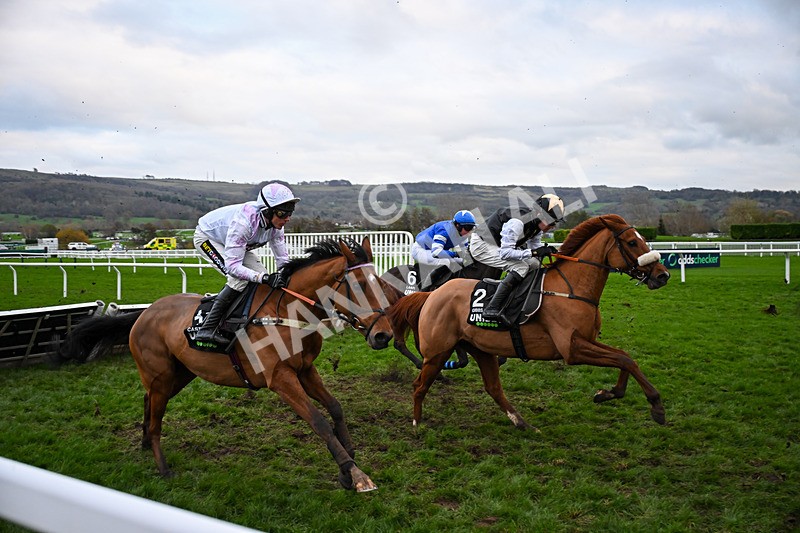 161125-Race 5-Gibbs Island-6418 - Race 5