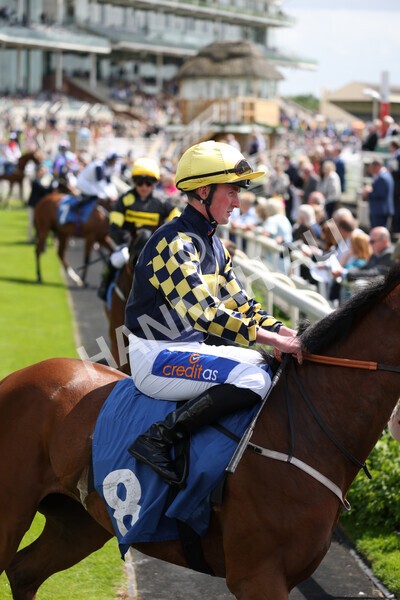 yr10062022r2-4 - Race 2 2.30pm SKF Rous Selling Stakes