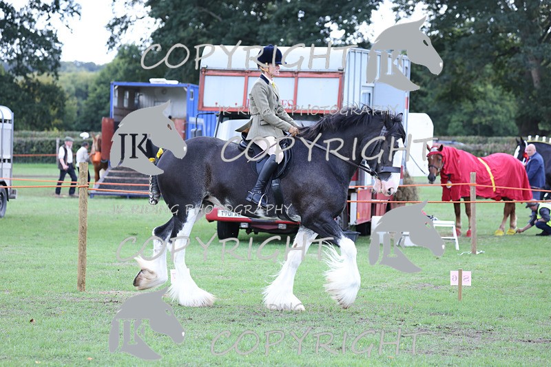 APP_3612 - Class 8 Ridden Class