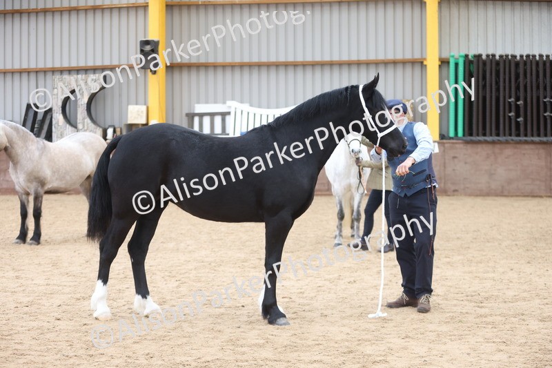 20251109-0953 - Class 26 - 2 and 4 Year Olds