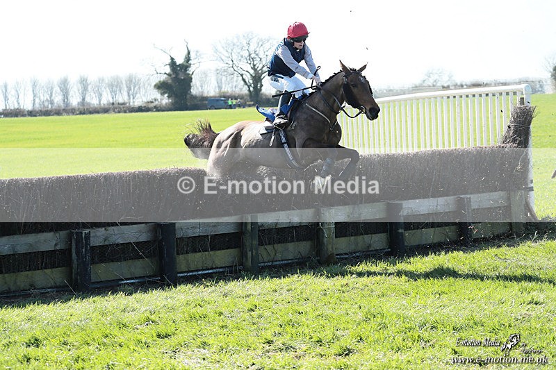 PtP 210326 118 - VWH Cirencester Races 21/03/26