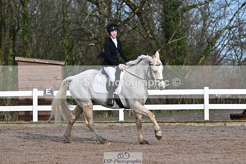 250125-111538-00302 - Dressage - CT Class 5 BE95 (90cm)