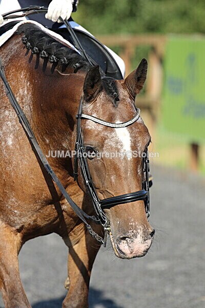 SIAL1548 - Saturday 16th 230pm till finish