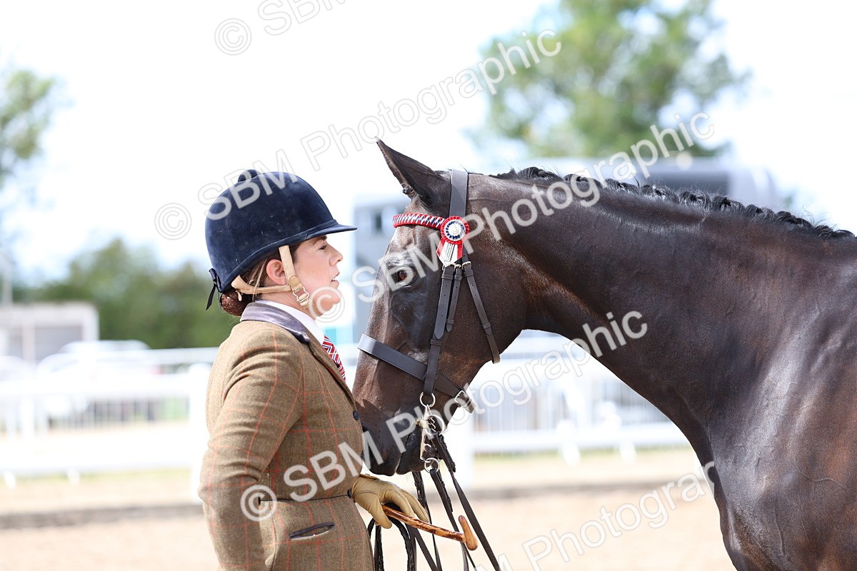SBM_15281 - Class 313 - IH Retired Racehorse