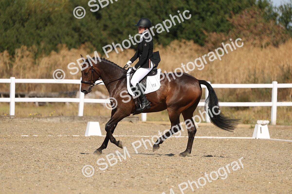SBM_013462 - Class 1 - P5 Bronze 10.38.12.02