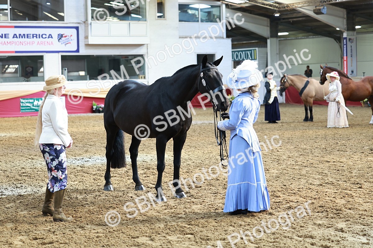 SBM_12095 - Class 103 - IH Costume