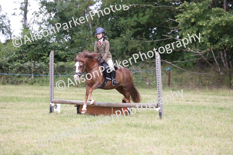20260614-2078 - Class 21 - Novice Working Hunter Pony