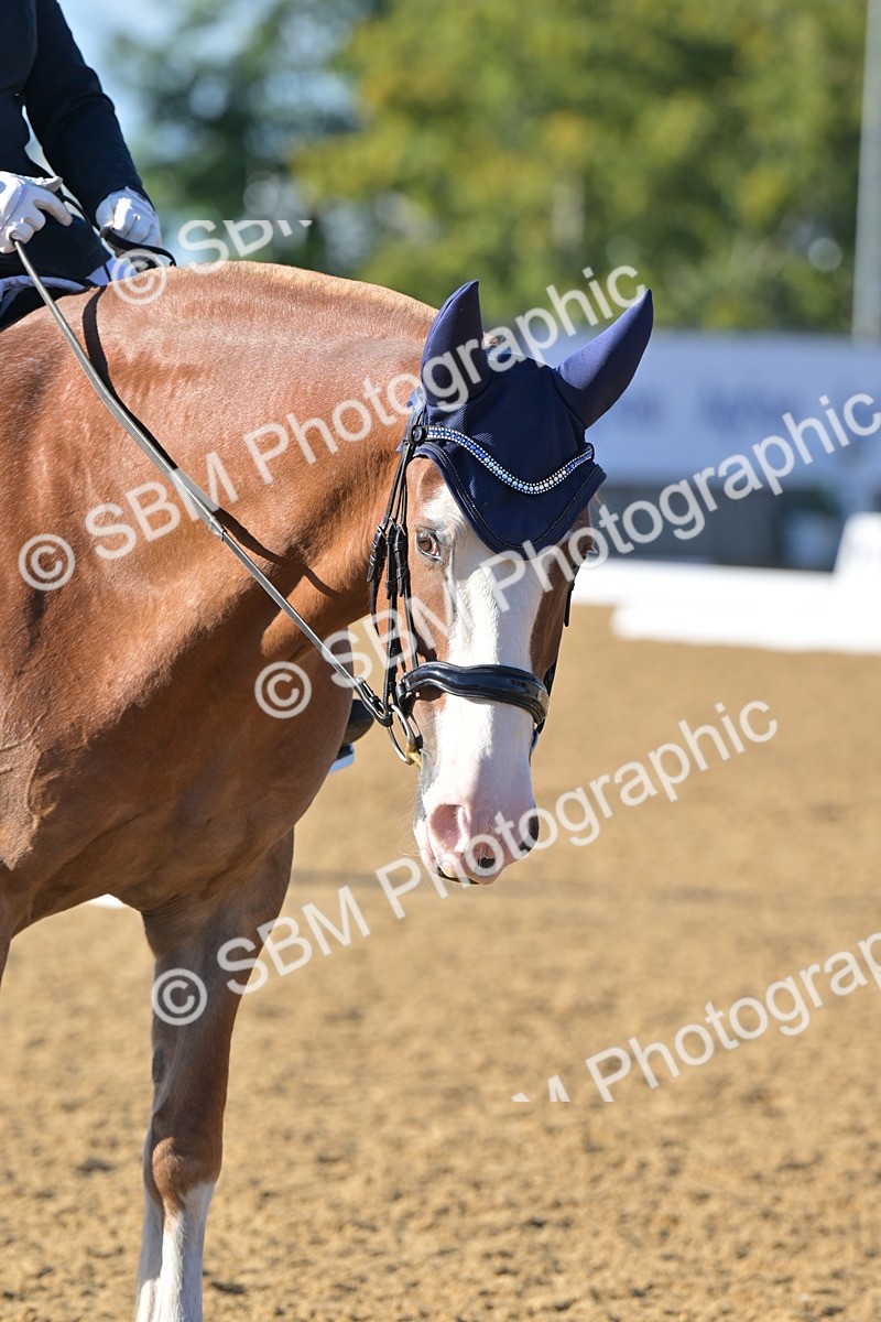 SBM_13008 - D3 - Small Tour Championship Intro 3