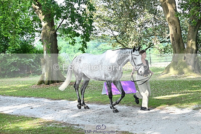 250521A-170109-01470 - C-278-Harriet.Wright-MBF.UP.NORTH