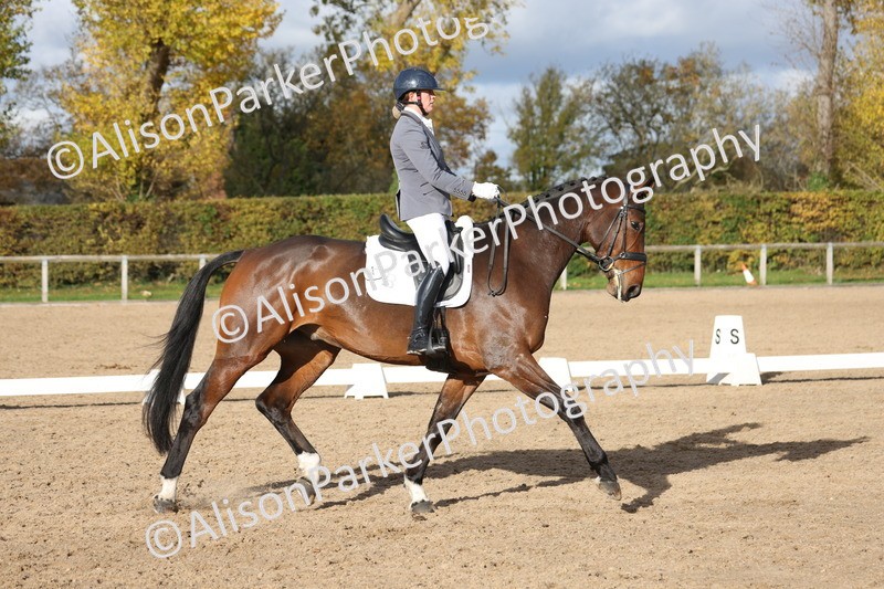 20251102-1087 - Class 6 - Elementary 6