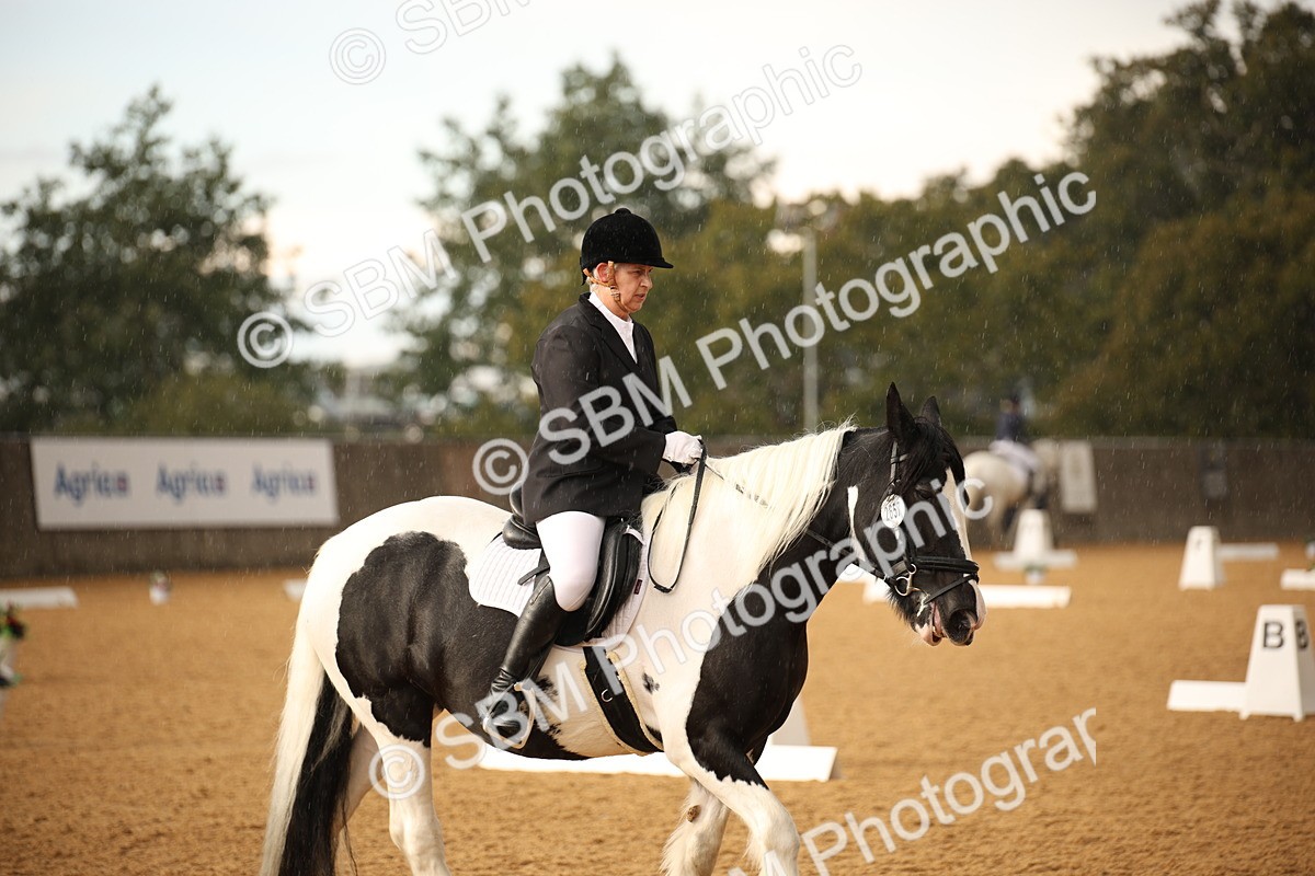 SBM_12392 - D3 Small  Tour Championship Intro A