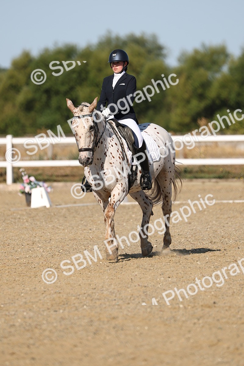 SBM_012684 - Class 1 - P5 Bronze 9.00.10.12