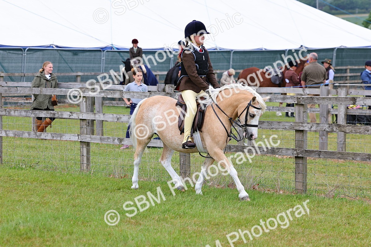 SBM_08482 - Class 42-43 - LIHS BSPS Heritage Working Sports Pony