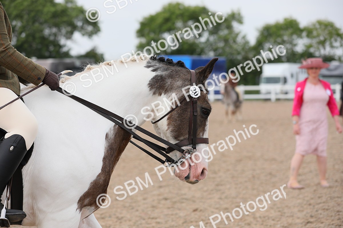 SBM_12725 - Class 307 Ridden Coloured Pony