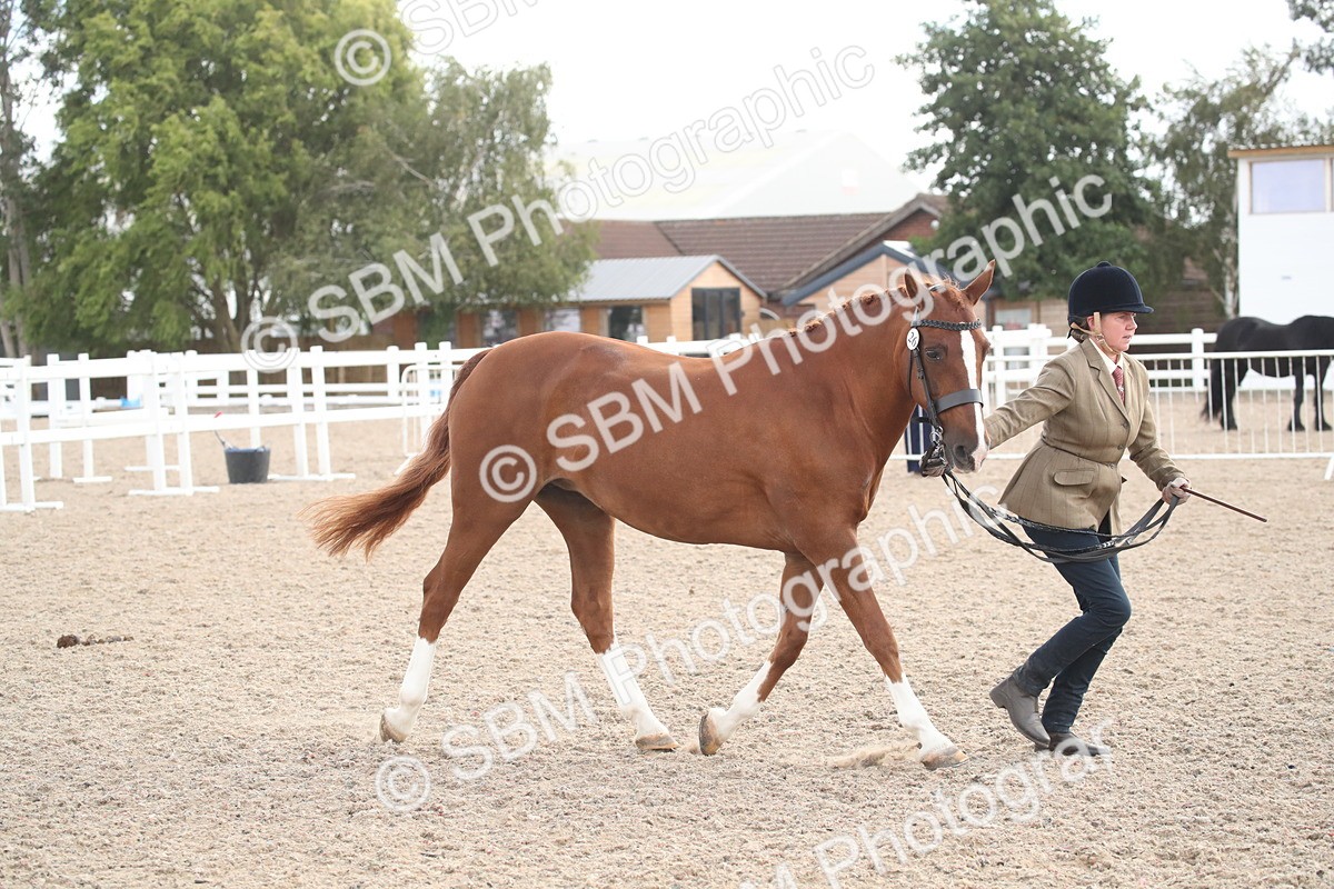 SBM_23450 - Class 604 - 2026 - Area IH Diamond