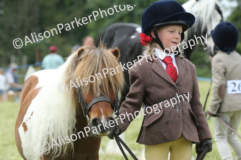 20260614-4288 - Class 18 - Best Junior Handler