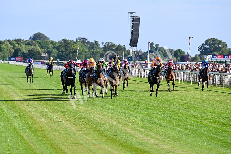240726-Race 2-Vaguely Royal-5072 - Race 2 18.05pm Elevator Company Handicap