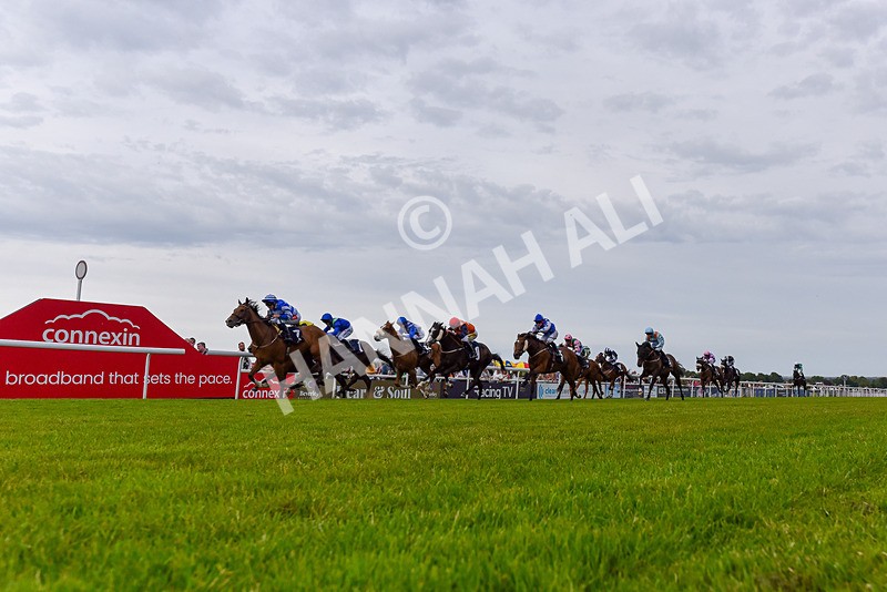 050724-Race 4-This Years Love-9795 - Race 4