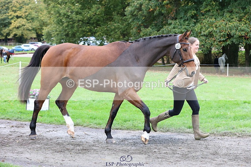 251026A-111129-25287 - F-462-Hayley.Allen