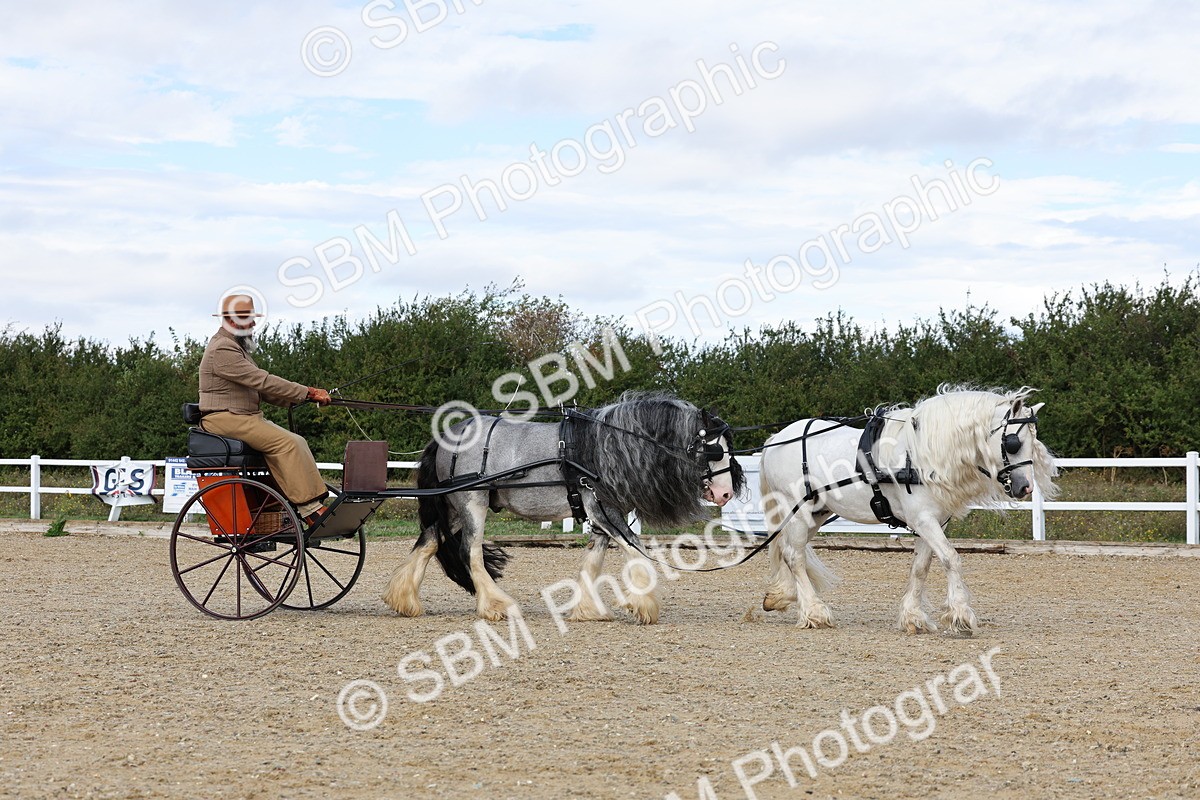 SBM_001203 - Class 16 - Pairs ,Multiples and Tandems