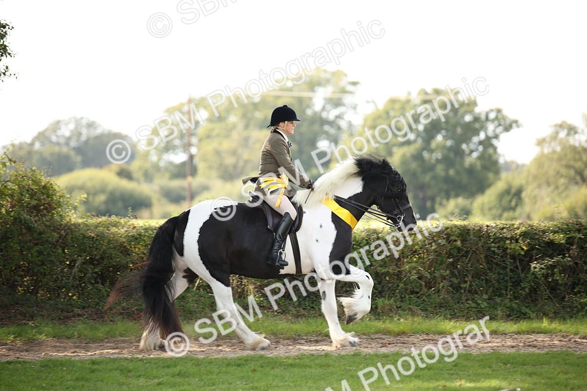 SBM_70162 - S65 - Piebald & Skewbald Horse Ridden