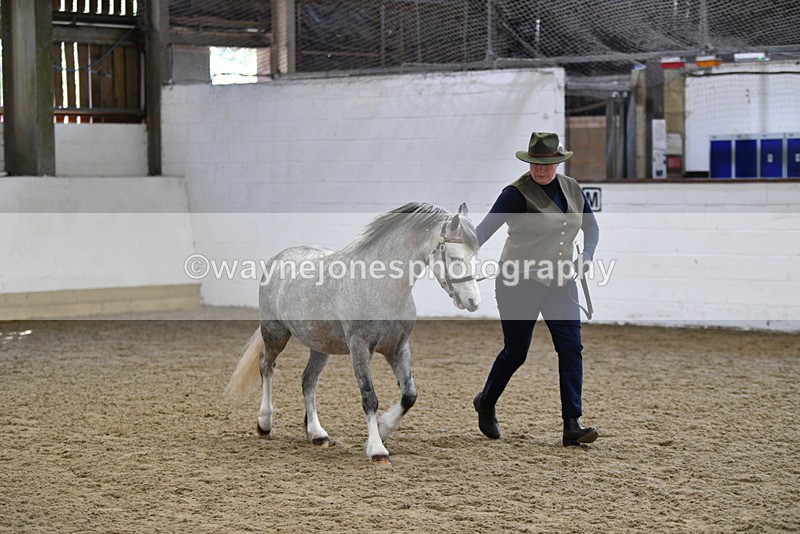 WJ5_5409 - Class 4 In hand M&M - small breeds