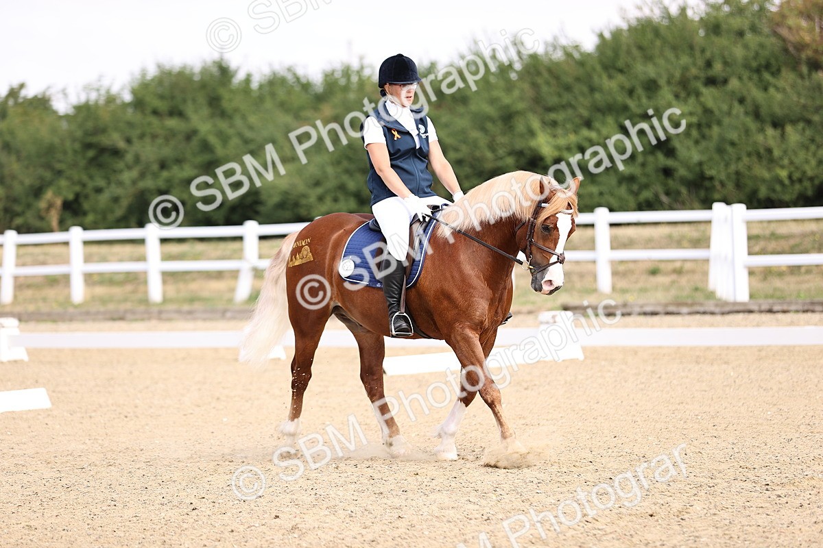 SBM_006572 - Intro 3 - 9.46-10.46