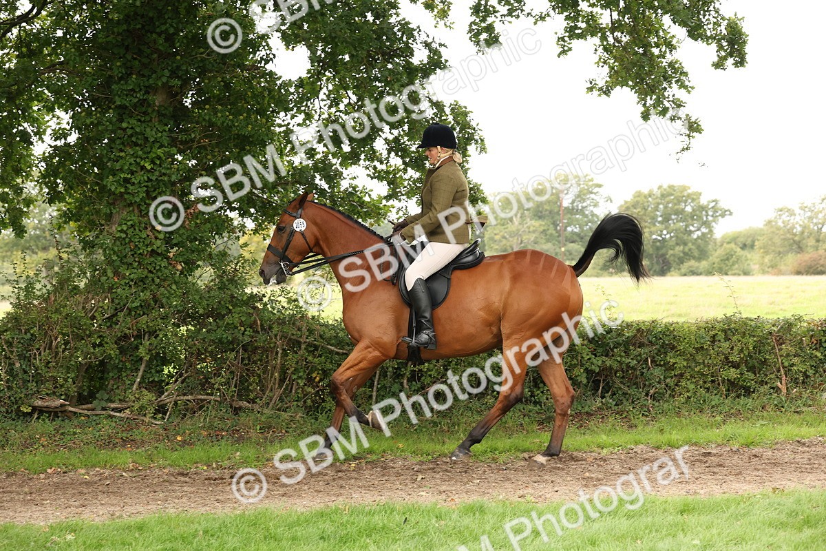 SBM_66341 - S66 - Hunter Ridden