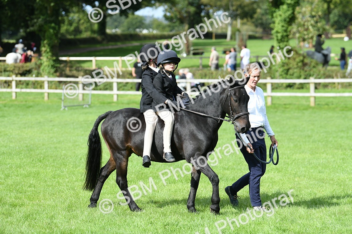 SBM_46973 - S12 - Family Horse & Pony