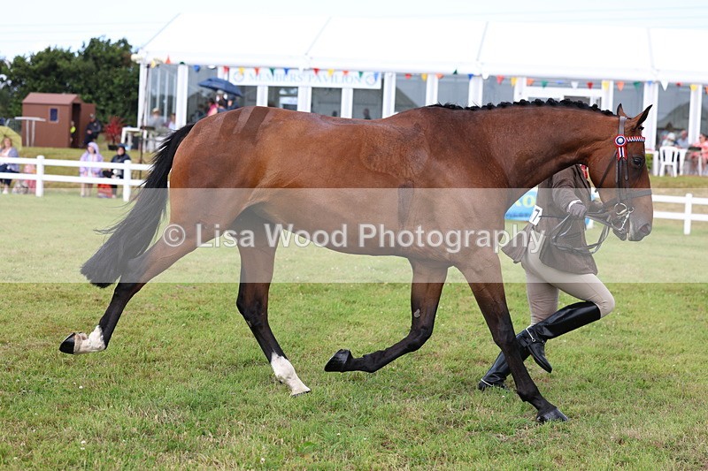 3E7A1080 - Class 8: Open Riding Horse/Hack