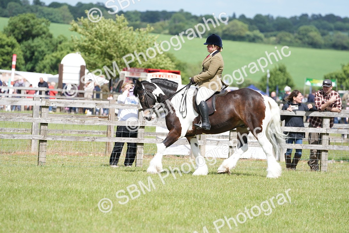 SBM_17288 - Class 107-108 - LIHS BSPS Performance Coloured Horse Pony