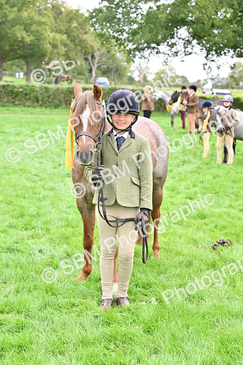 SBM_61076 - S48 - Mountain & Moorland In Hand Small Breeds