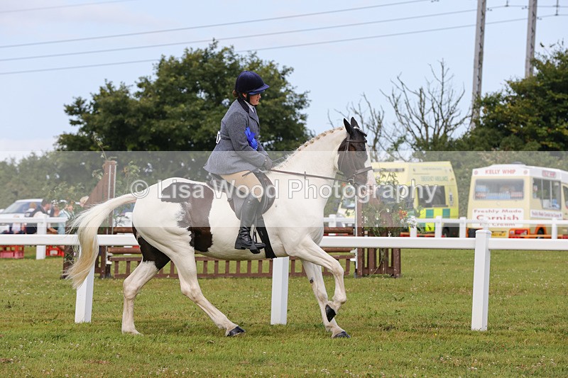 1X9A3097 - Class 26: Ridden Plaited Coloured Pony