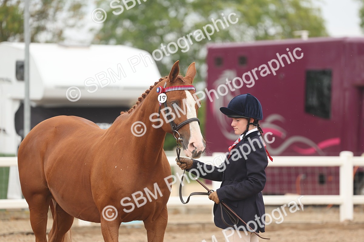 SBM_00602 - Class 13 Young Handler