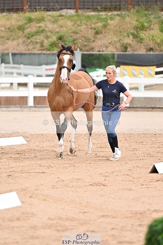 250716-151227-01760 - Trot Up 2.30 to 3.30