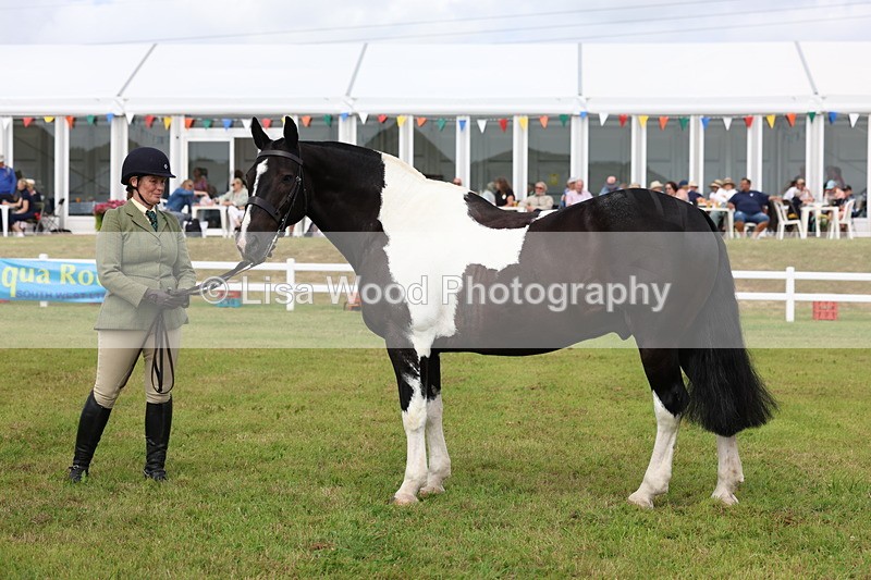 3E7A0393 - Class 6: Rising Star Maxi Cobs