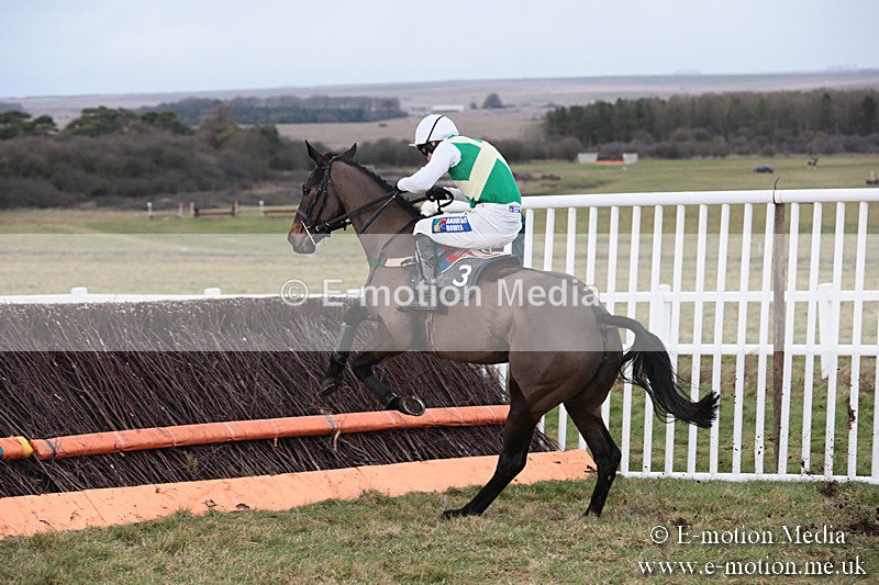 PtP 230119 178 - Royal Artillery Point-to-Point  - Larkhill  - 26/01/19
