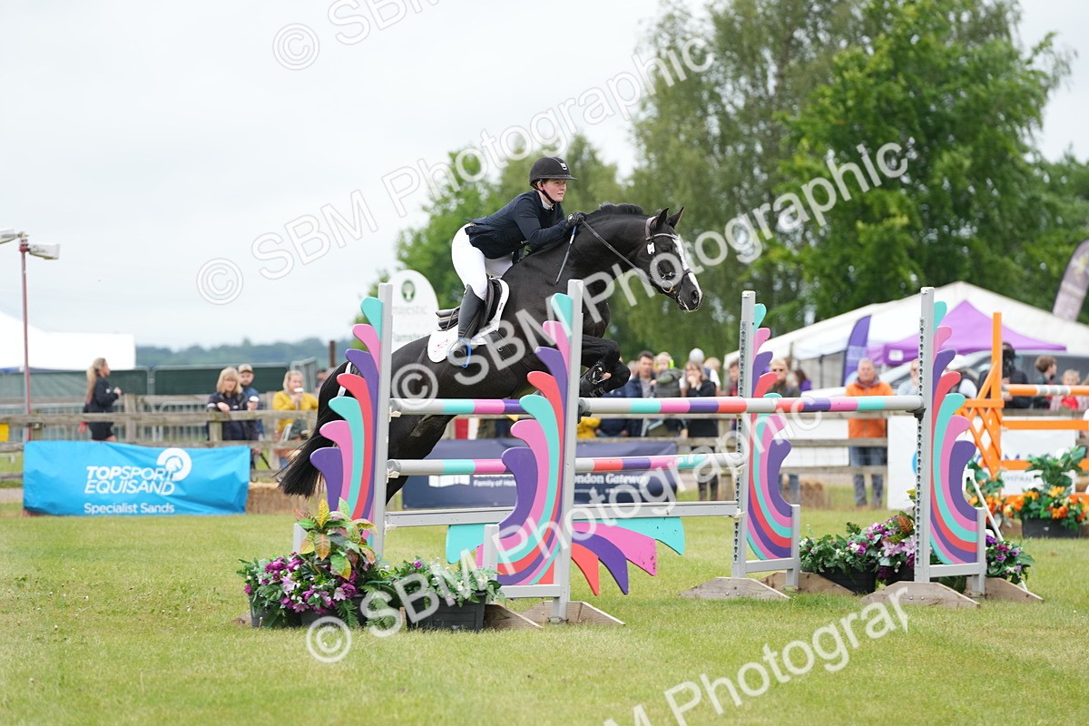 SBM_03311 - Class 201 - British Horse Feeds Speedi Beet Horse of the Year Show Grade  C