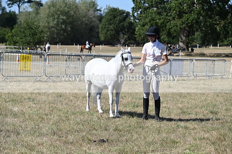 WJ6_9330 - Class 40 Cheekiest Pony/Horse