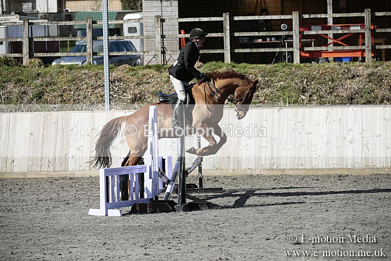 BVRC SJ 170319 137 - Bourne Valley Riding Club Showjumping 17/03/19