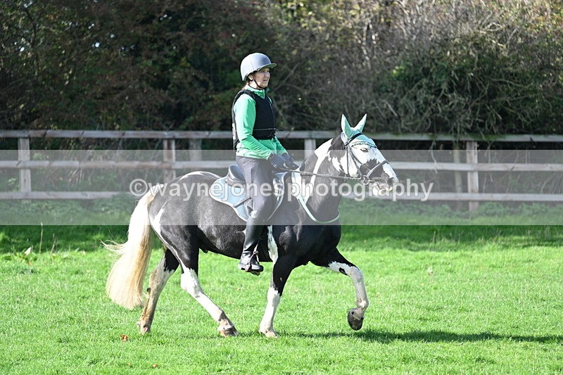 WJ7_7955 - Time 11:40 to 12:12