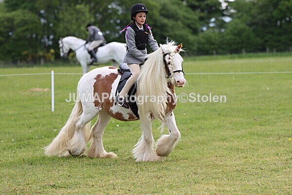 IMG_2452 - Working Hunter