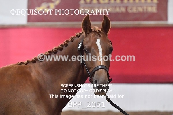 BPP_2051 - AFTERNOON 12.30 - 3.30PM