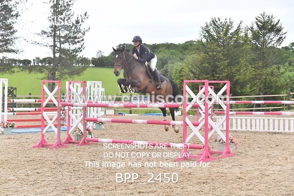 BPP_2450 - SAT CLASS 13 Senior Foxhunter/ 1.20m Open