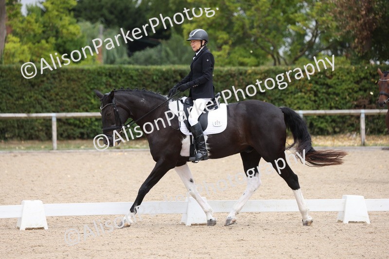 20250820-0525 - Class 14 - Prelim 5