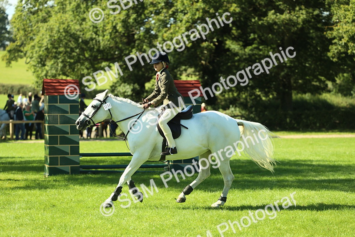 SBM_39136 - S29 - Novice & Newcomers Working Hunter Pony