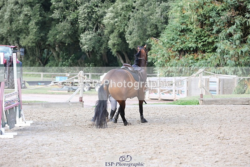 250831A-173013-11537 - Cls 46 85cm Amateur Quali