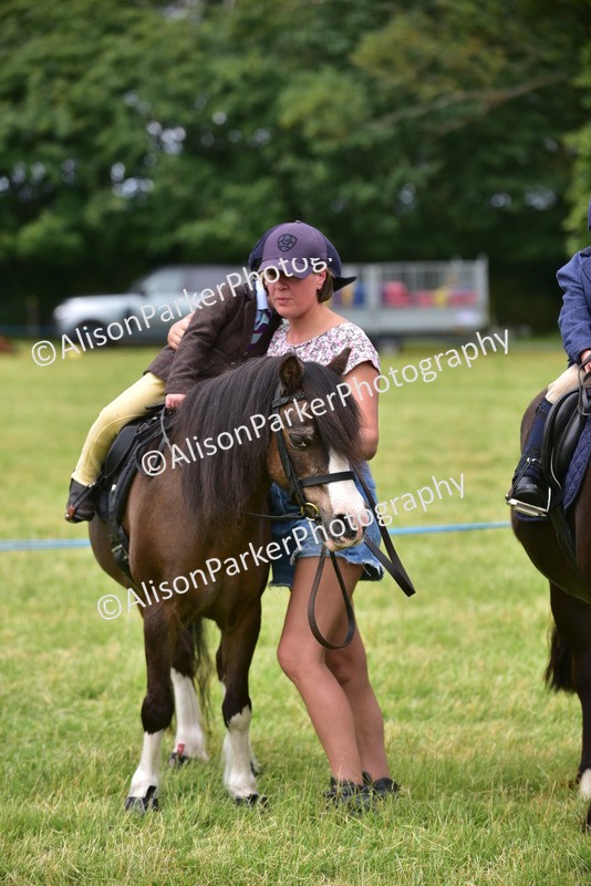20260614-3717 - Class 15 - Prettiest Mare