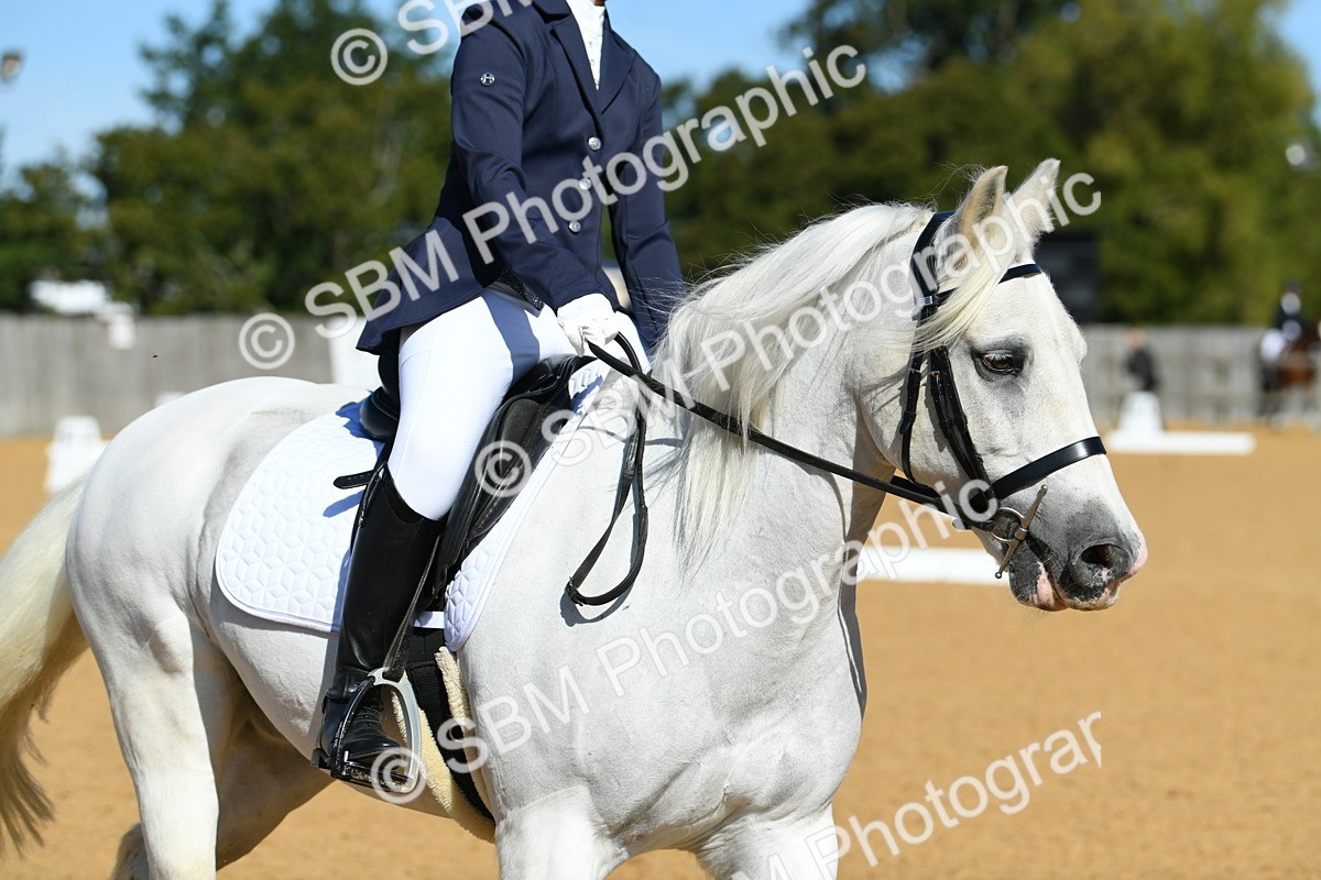 SBM_18101 - D4 - Small Tour Championship - Intro B